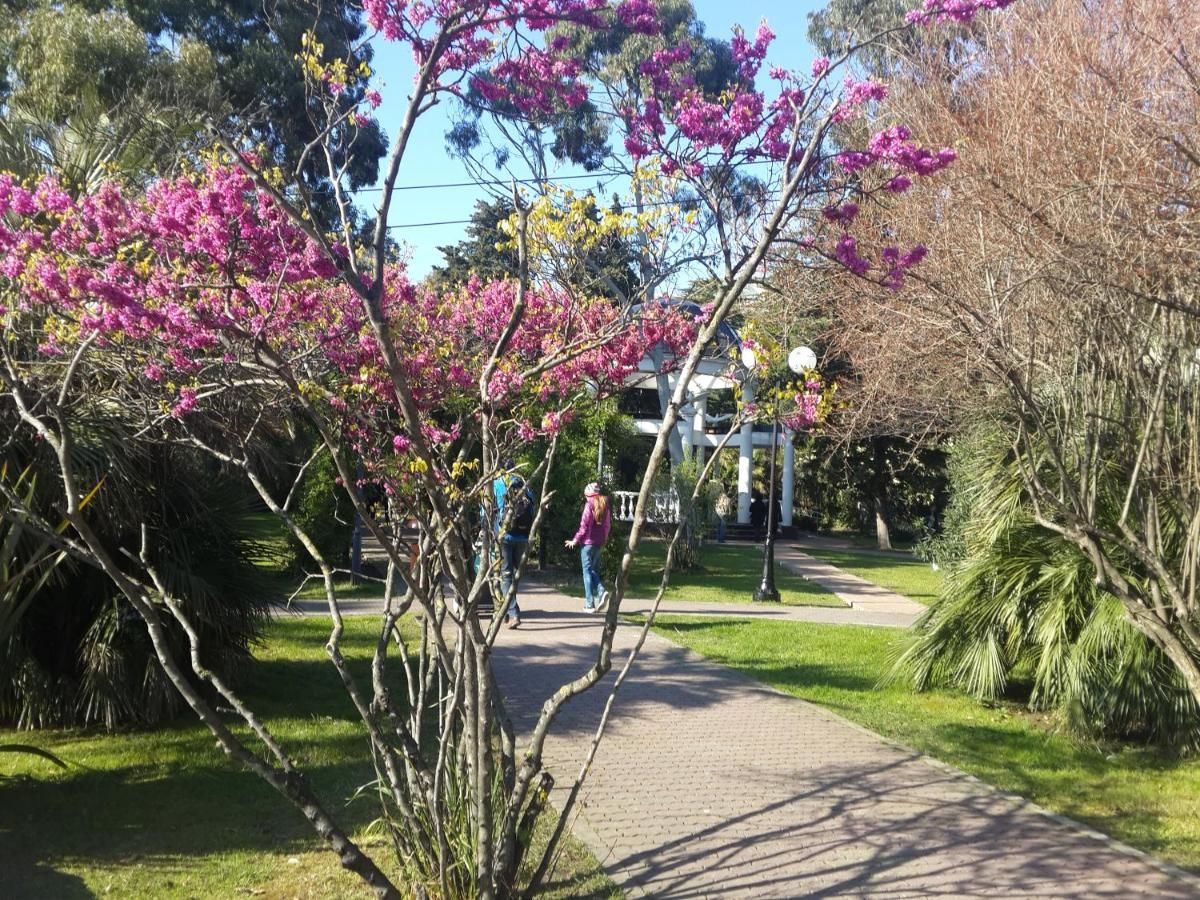 Гостиница Гостевой Дом VIP House Сочи-28