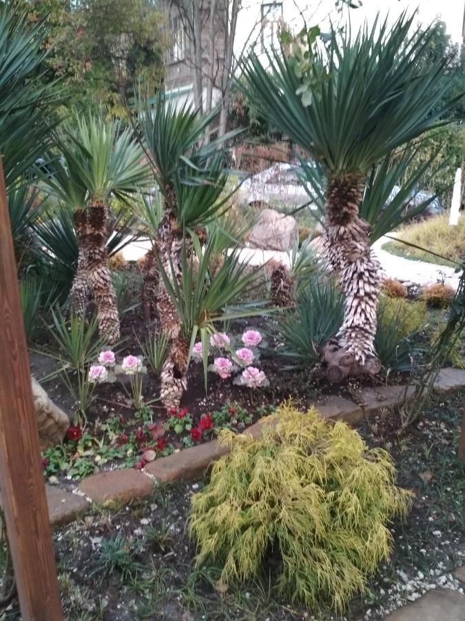 Гостиница Гостевой Дом VIP House Сочи-34