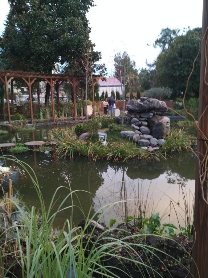 Гостиница Гостевой Дом VIP House Сочи-36