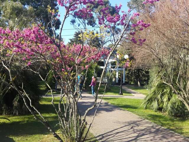 Гостиница Гостевой Дом VIP House Сочи-27